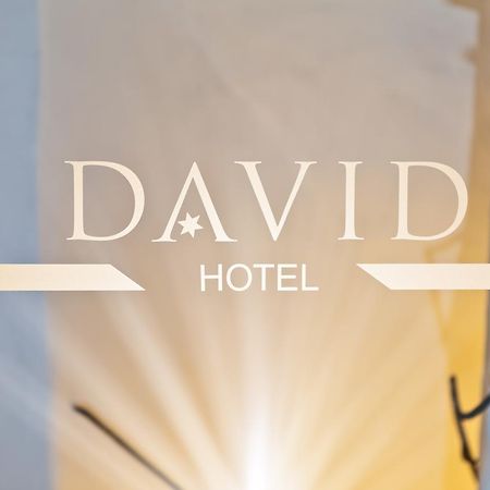 Hotel David an der Donau Regensburg Buitenkant foto